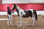 BPP_1675