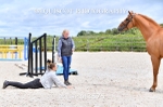 equiscot3575