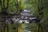Cannop Brook Reflections