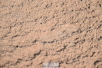 231015A-124923-08008