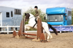 SBM_03541