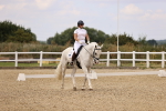 SBM_008685