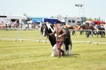 SBM_04241