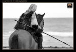 equiscot 8784
