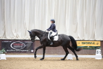SBM_002236