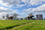 100426-Race 6-In The Breeze-5979