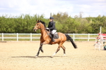 SBM_003541