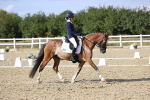 SBM_015992