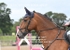 BPP_0549