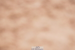 240505A-142452-06279