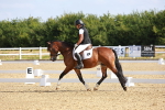 SBM_008300
