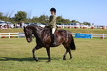 3E7A5990