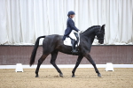 SBM_000691