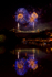 Clifton Suspension Bridge 150th Anniversary