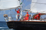Zulu DSC_1096