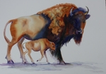 Mama Bison