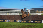 141224-Race 3-Shakeyatailfeather-1725