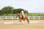 SBM_000335