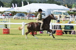 JPP_0568