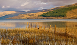 The West waters of Loch Tay
