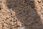 231015A-121900-07951
