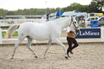 SBM_08529
