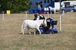 WJ6_6793