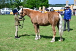 SBM_08076