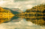 Autumn Stillness