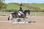 BPP_8662