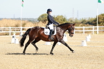 SBM_016884