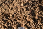 231101A-133540-00371