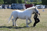 WJ6_4547
