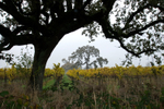 Photo of the Week 12/12/2011