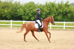 SBM_005232