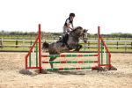 SBM_001483