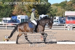 BPP_8544