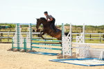 SBM_006146