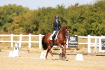 SBM_018321