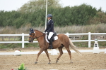 SBM_004333