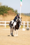 SBM_016784