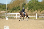 SBM_001439