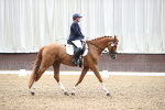 SBM_001331