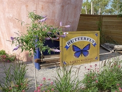 Butterfly World Project portfolio