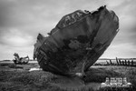 Fleetwood Marsh 5