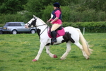 Class 6 - Minimus 50-60cm 12 years and over portfolio