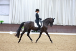 Class 14 - FEI Grand Prix - 17.40-18.34 portfolio