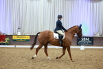 SBM_004235