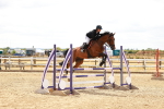 SBM_006179