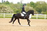 SBM_006946